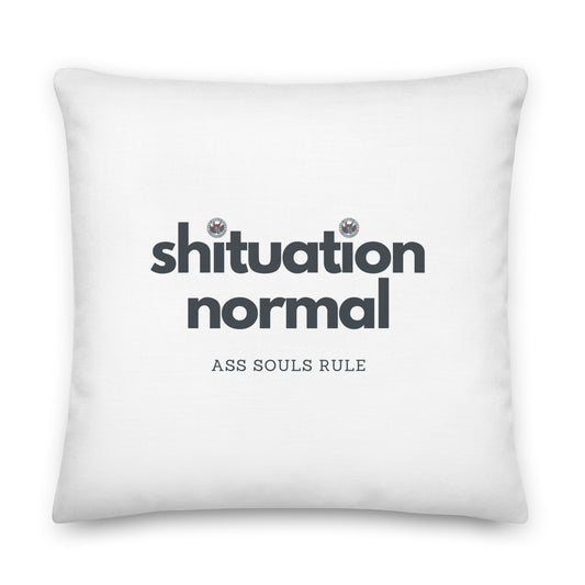 Shituational Normal premium pillow