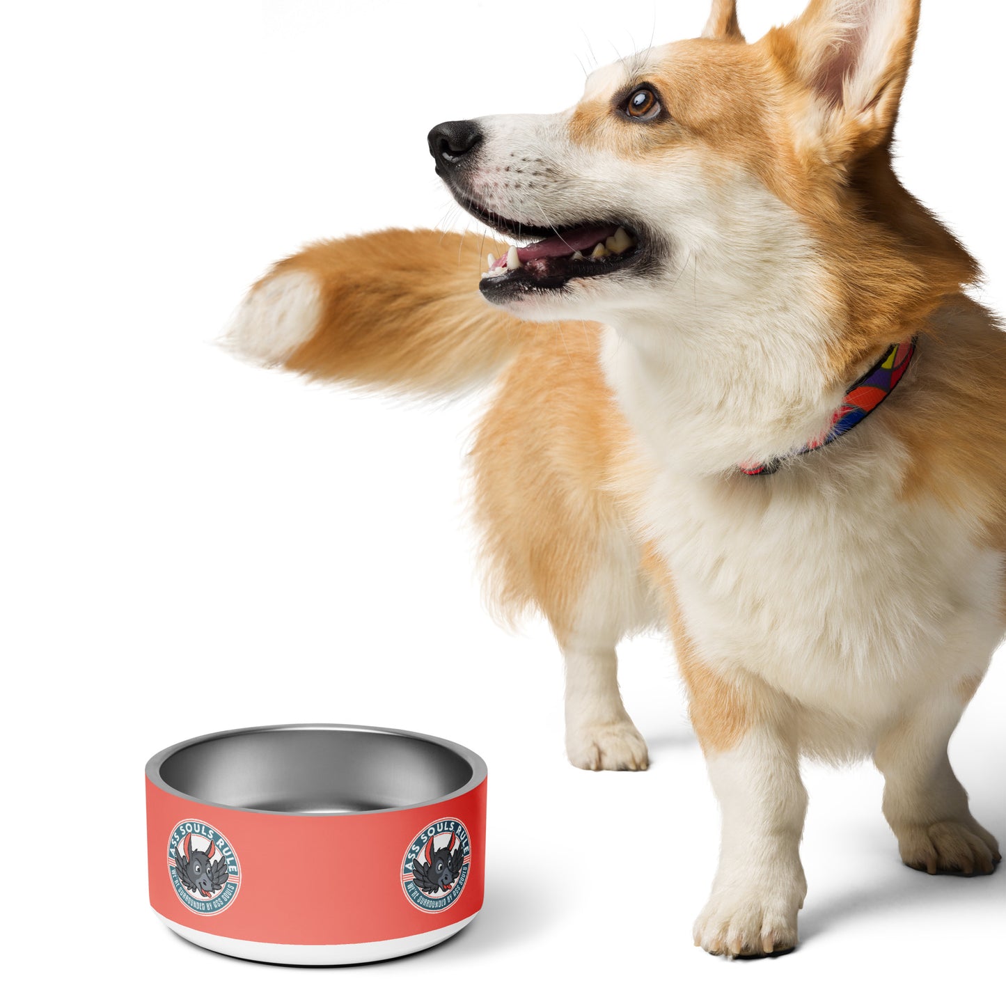 Logo of ASR pet bowl - salmon