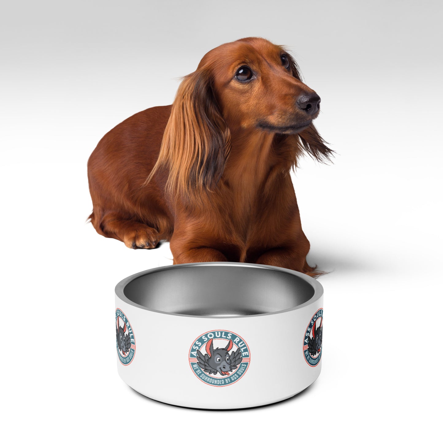 Logo of ASR pet bowl - white