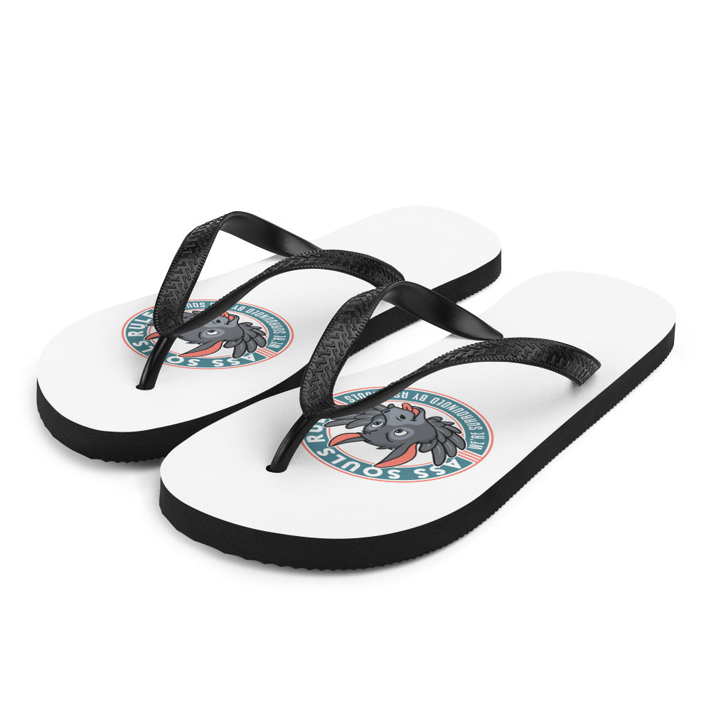 ASR Flip-Flops