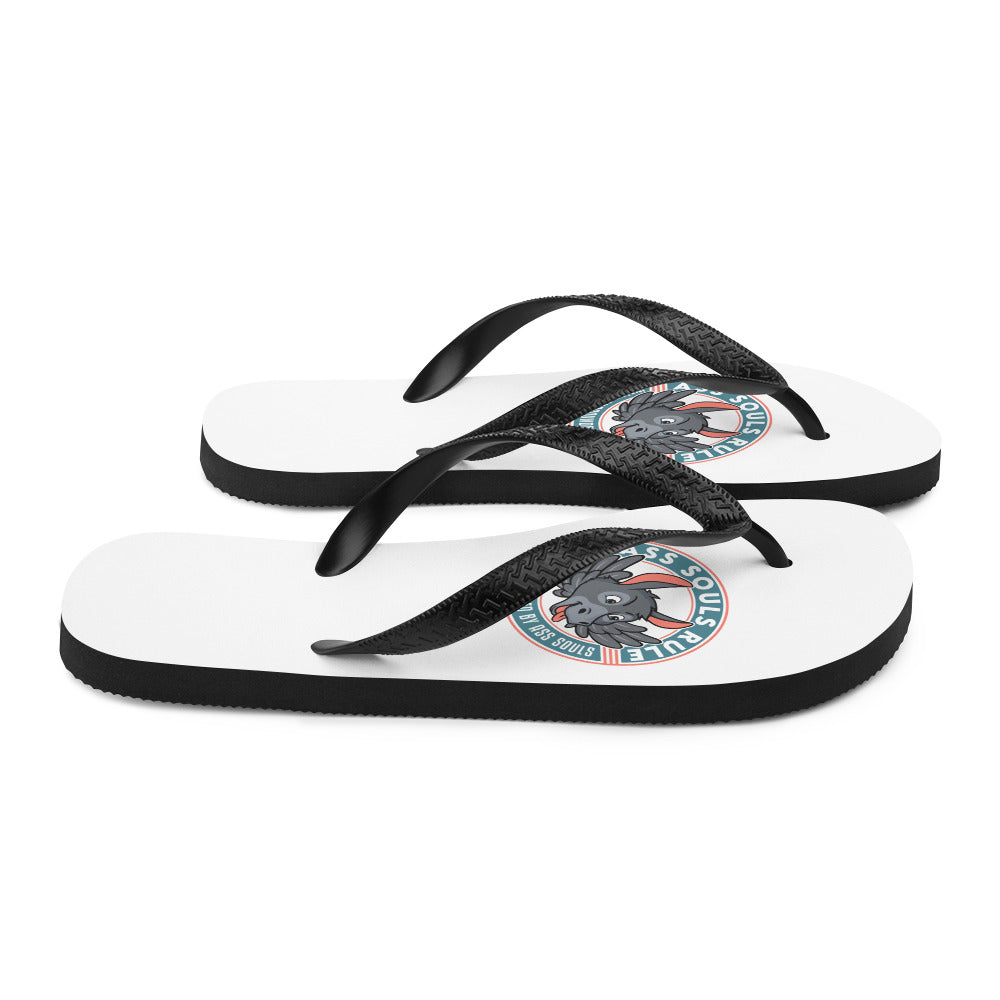 ASR Flip-Flops