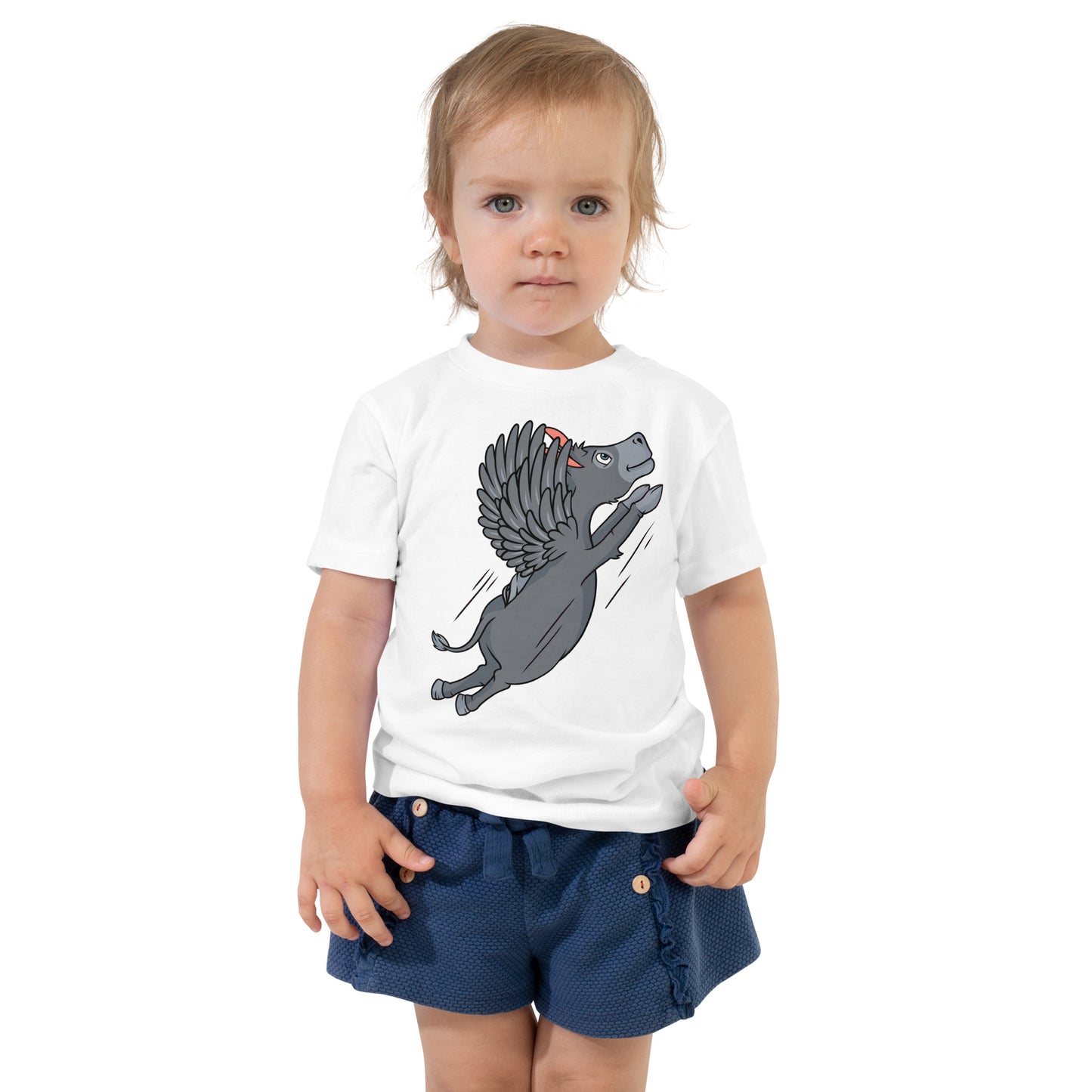 Flying Acer toddler short sleeve tee